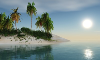 tropical beach. palm trees on the beach. Island in the ocean.