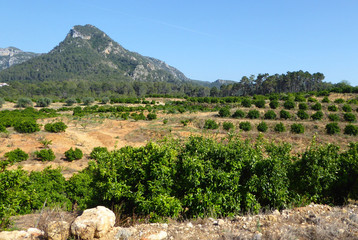 Fototapeta na wymiar Mediterranean mountain landscape