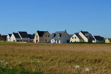 Fototapeta na wymiar Paysage de la plaine de Caen (Région de Bourguébus - Calvados)