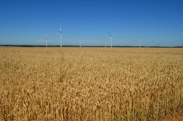 Parc &eacute;olien dans la plaine de Caen (R&eacute;gion de Caen-Normandie)