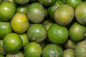 Fresh ripe limes
