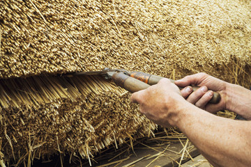 Close up of a thatcher trimming straw of a thatched roof with shears.