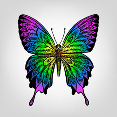 Obrazy na Szkle  Wektor kolorowy motyl na białym tle