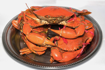 close up steamed serrated mud crab, mangrove crab
