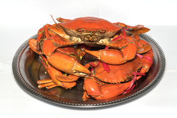 close up steamed serrated mud crab, mangrove crab
