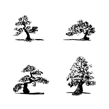 Set of hand drawing sketch four bonsai trees on white background