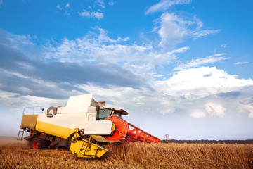 Combine-harvester working im the wheat field. Cloudly blue sky. Horizontal. Working concept
