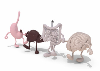 human organs with arms and legs hand in hand