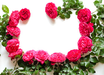 Frame of beautiful roses with dew drops on the white background for postcard, beige, congratulations, invitations, etc. Romantic decor elements