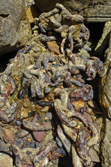 Corroded chains harbor