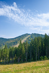 Fototapeta premium landscape