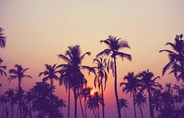 Poster Silhouet van palmbomen bij zonsondergang, vintage filter © Alexandr Bakanov