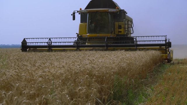 Combine-harvester removes the grain of wheat in the field. Slow Motion