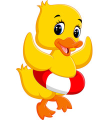 duck playing with inflatable ring