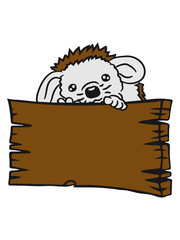 climbing wooden signboard hide wall wall frame text write writing umrandung dash waving baby ball sweet little cute hedgehog