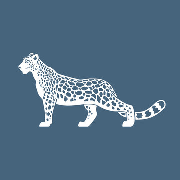 Snow Leopard vector illustration logo, sign, emblem on blue back