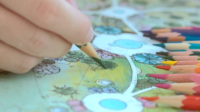 Landscape design. Woman draw a plan for landscaping. Close up shot