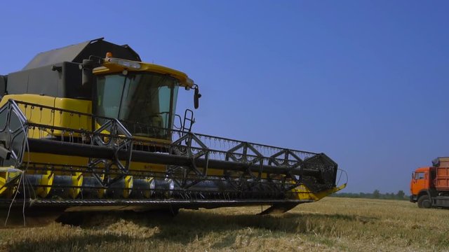 Combine-harvester removes the grain of wheat in the field. Slow Motion