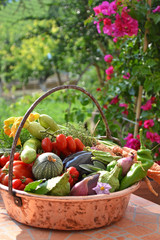 Cesta piena di verdure bio raccolte dall'orto