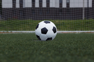 the soccer ball