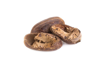 Nutmeg isolated on white background