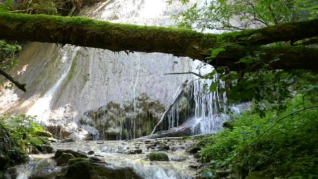 wasserfall mit baumstamm, sense, bern, schweiz
