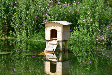 Wooden house on the pond for wild ducks