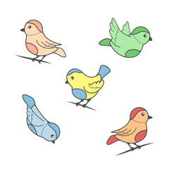 Bird image in color