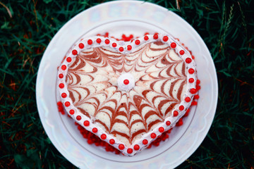 homemade cake in the form of heart
