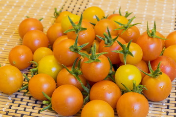 Big harvest in home garden