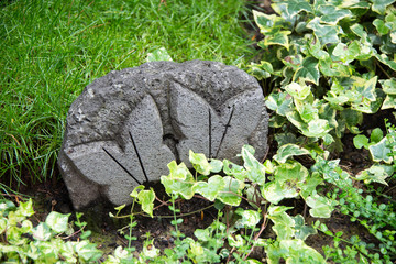 Schmetterlinge