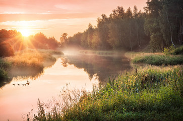 Утро лета Morning of the summer