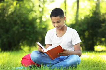 Fototapeta premium African American boy reading book in park