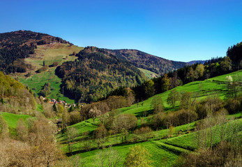 Fototapeta na wymiar Schwarzwald mountains spring view, sunny day