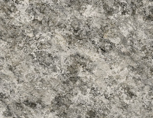 Fototapeta na wymiar old crumble texture of a dirty dry wall