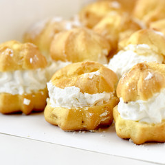 Cream puffs in a white box