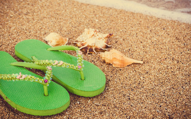 Fototapeta na wymiar Womens green sandals on tropical beach with seashells
