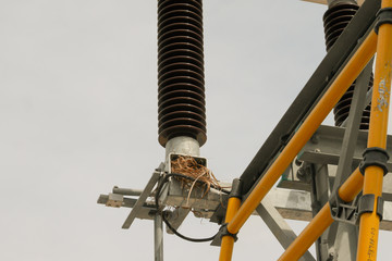 The bird nest on High voltage disconnecting switch