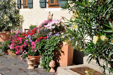 Hauseingang mit Sommerblumen