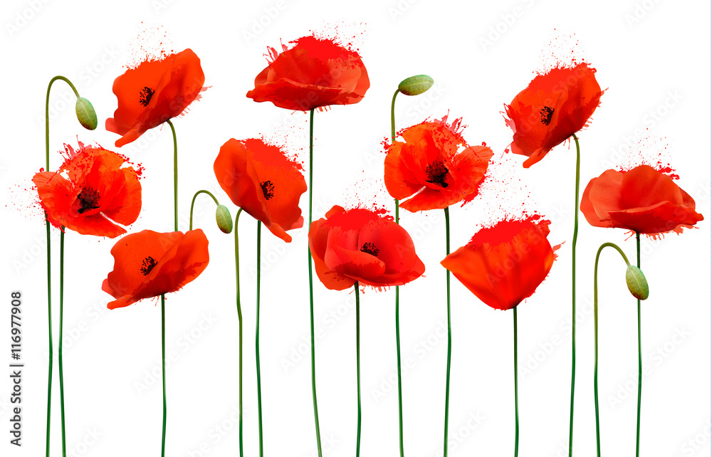 Aufkleber abstract background with red poppies flowers. vector.