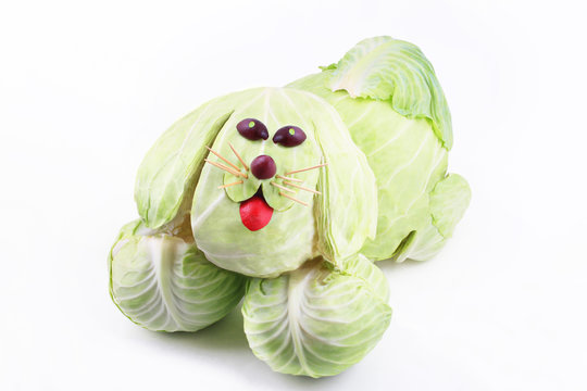 Cabbage Dog