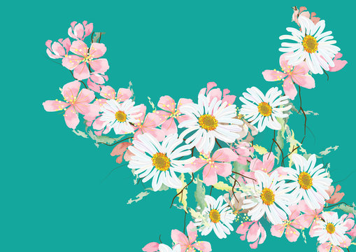 Cherry blossom and daisy flowers with leave and branch  for background card ,isolated pictures