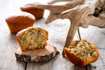 Homemade healthy muffin with poppy seed on a wooden background. Selective focus