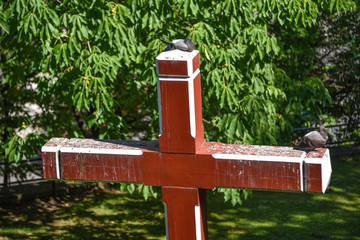 Two pigeons sit on a red cross