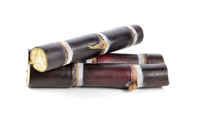 Sugar cane isolated on white background