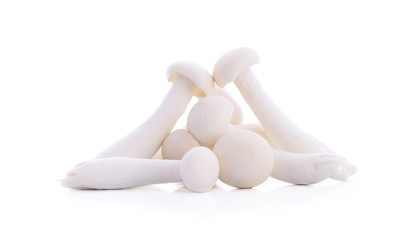shimeji mushroom isolated on white background