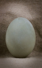 One Salted Duck Egg