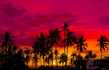 Naklejka premium Silhouette coconut palm trees on beach at sunset. Made from vintage filter effect, Vintage tone.