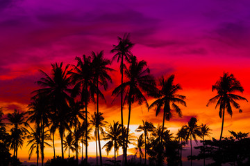 Fototapeta na wymiar Silhouette coconut palm trees on beach at sunset. Made from vintage filter effect, Vintage tone.