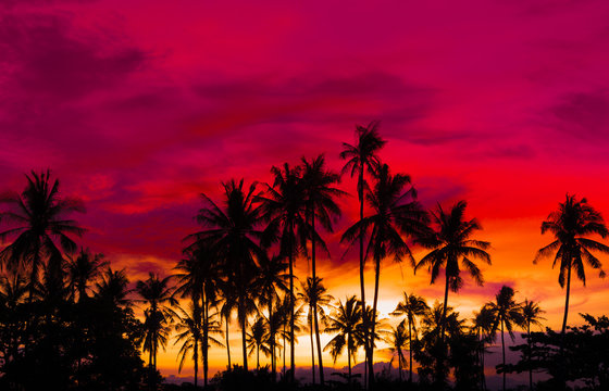 Silhouette coconut palm trees on beach at sunset. Made from vintage filter effect, Vintage tone.